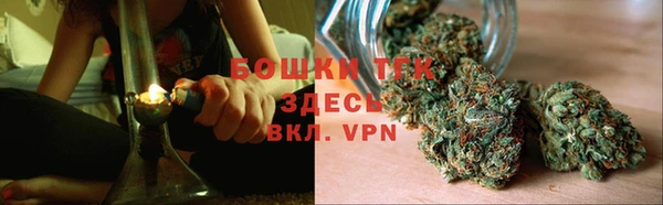 тгк Абинск
