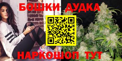 индика Конаково