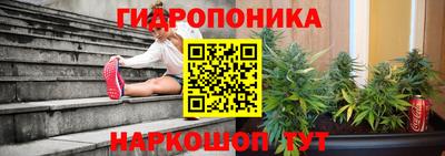 индика Конаково