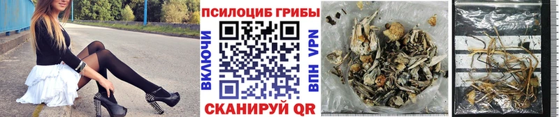 Галлюциногенные грибы GOLDEN TEACHER  купить наркотики сайты  Новочебоксарск 