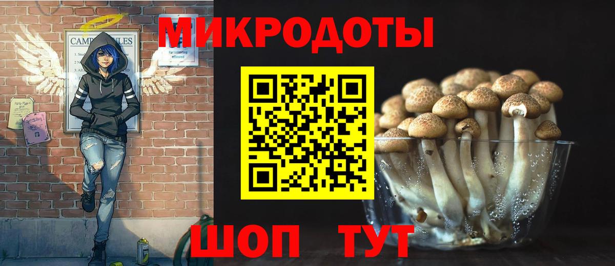 Галлюциногенные грибы MAGIC MUSHROOMS Новочебоксарск
